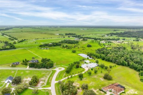 Land in Myakka City, Florida № 1391001 - photo 1