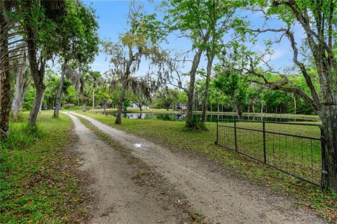 Villa ou maison à vendre à Edgewater, Floride: 3 chambres, 166.67 m2 № 1087406 - photo 3