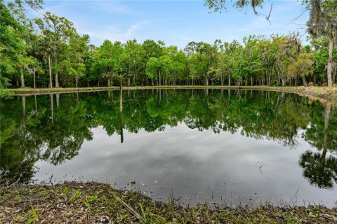 Villa ou maison à vendre à Edgewater, Floride: 3 chambres, 166.67 m2 № 1087406 - photo 6