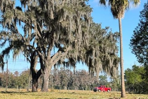 Terreno en venta en Odessa, Florida № 941658 - foto 8