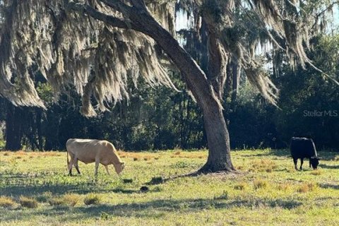 Terreno en venta en Odessa, Florida № 941658 - foto 6