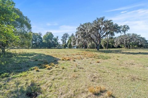 Land in Odessa, Florida № 941658 - photo 14