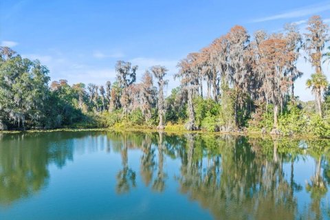 Land in Odessa, Florida № 941658 - photo 17