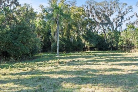 Terreno en venta en Odessa, Florida № 941658 - foto 9