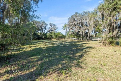 Land in Odessa, Florida № 941658 - photo 12