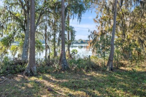 Land in Odessa, Florida № 941658 - photo 5