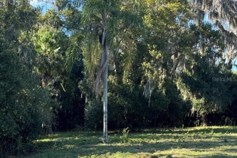 Terreno en venta en Odessa, Florida № 941658 - foto 7