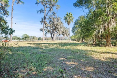 Terreno en venta en Odessa, Florida № 941658 - foto 13