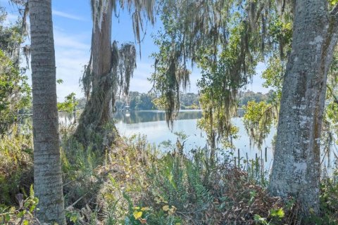 Terreno en venta en Odessa, Florida № 941658 - foto 3