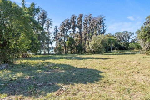 Terreno en venta en Odessa, Florida № 941658 - foto 10