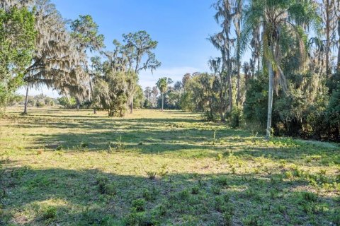 Terreno en venta en Odessa, Florida № 941658 - foto 11