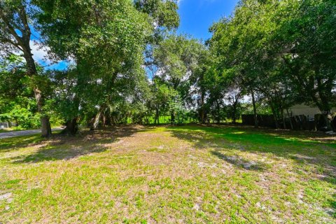 Terrain à vendre à Tampa, Floride № 1374622 - photo 4