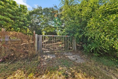 Villa ou maison à vendre à Homestead, Floride: 1 chambre, 196.12 m2 № 1230872 - photo 3