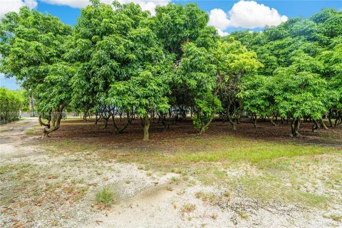 Villa ou maison à vendre à Homestead, Floride: 1 chambre, 196.12 m2 № 1230872 - photo 12