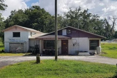 Commercial property in Dade City, Florida 272.39 sq.m. № 576161 - photo 1
