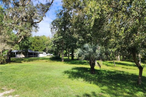 Immobilier commercial à vendre à Dade City, Floride: 89.19 m2 № 1334181 - photo 6