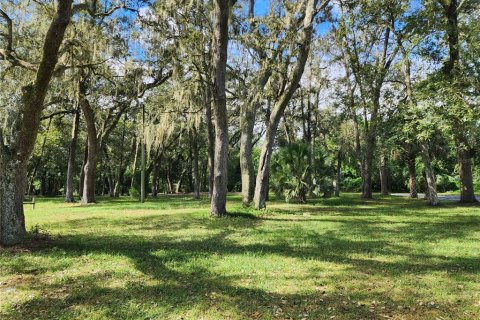 Immobilier commercial à vendre à Dade City, Floride: 89.19 m2 № 1334181 - photo 12