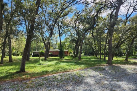 Immobilier commercial à vendre à Dade City, Floride: 89.19 m2 № 1334181 - photo 19