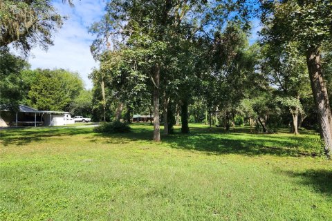 Immobilier commercial à vendre à Dade City, Floride: 89.19 m2 № 1334181 - photo 7