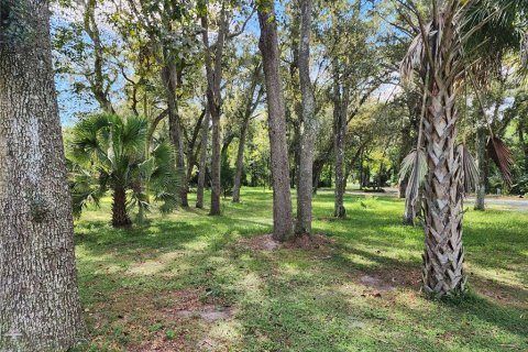 Immobilier commercial à vendre à Dade City, Floride: 89.19 m2 № 1334181 - photo 15