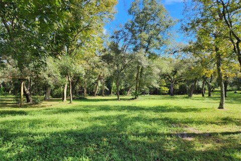 Commercial property in Dade City, Florida 89.19 sq.m. № 1334181 - photo 8