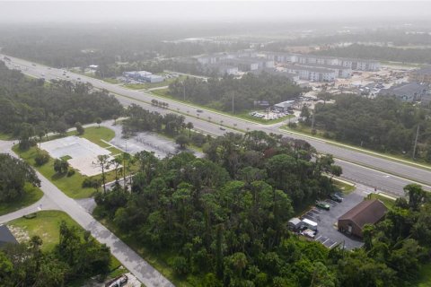 Land in Port Charlotte, Florida № 753298 - photo 6