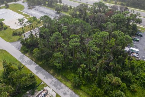 Terreno en venta en Port Charlotte, Florida № 753298 - foto 3