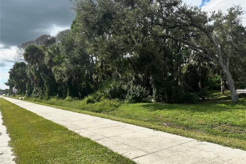 Terreno en venta en Port Charlotte, Florida № 753298 - foto 12