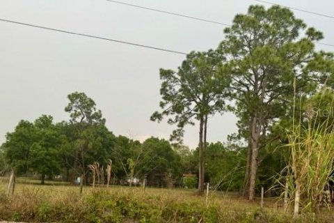 Land in Clewiston, Florida № 906651 - photo 6