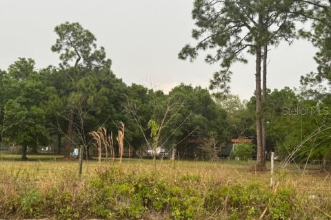 Land in Clewiston, Florida № 906651 - photo 8