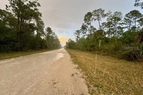 Land in Clewiston, Florida № 906651 - photo 3