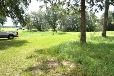 Terreno en venta en Ocala, Florida № 1337739 - foto 11