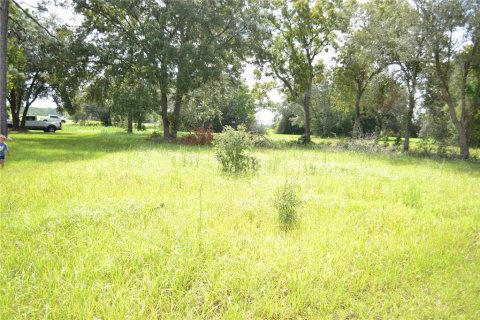 Land in Ocala, Florida № 1337739 - photo 13