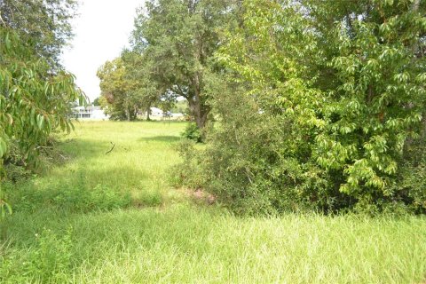 Terrain à vendre à Ocala, Floride № 1337739 - photo 7