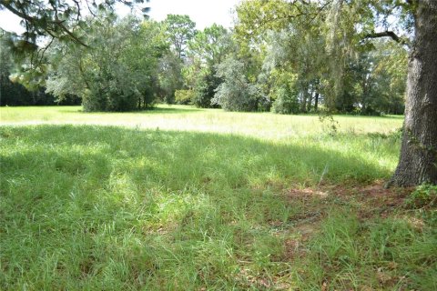 Terreno en venta en Ocala, Florida № 1337739 - foto 12