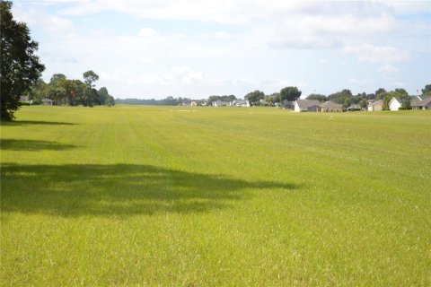 Land in Ocala, Florida № 1337739 - photo 15