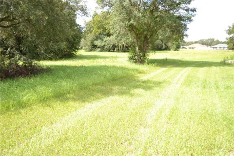 Terrain à vendre à Ocala, Floride № 1337739 - photo 9