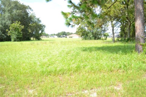 Terreno en venta en Ocala, Florida № 1337739 - foto 10