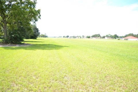 Land in Ocala, Florida № 1337739 - photo 14