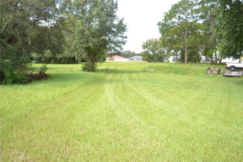 Terrain à vendre à Ocala, Floride № 1337739 - photo 5