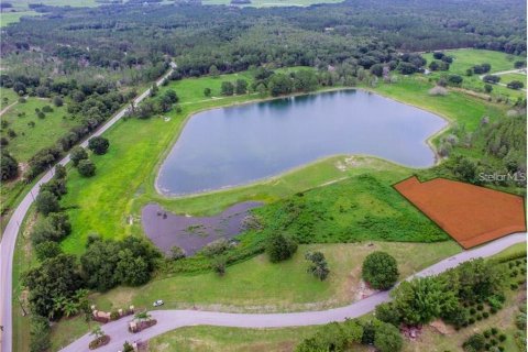 Land in Land O' Lakes, Florida № 957642 - photo 7