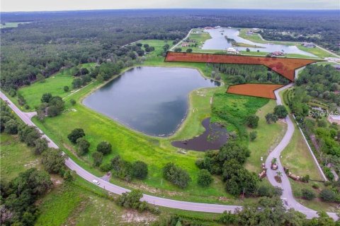 Terreno en venta en Land O' Lakes, Florida № 957642 - foto 4