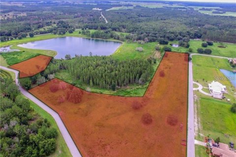 Terreno en venta en Land O' Lakes, Florida № 957642 - foto 5