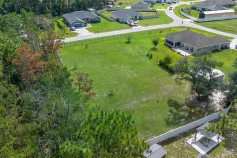 Terrain à vendre à Ocala, Floride № 1385050 - photo 6