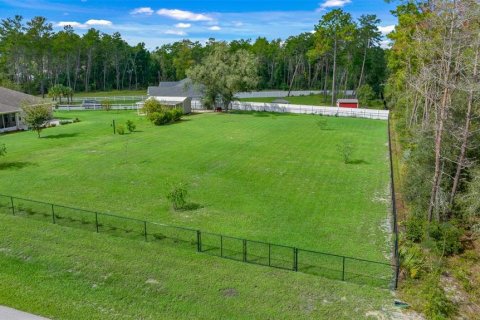 Land in Ocala, Florida № 1385050 - photo 2