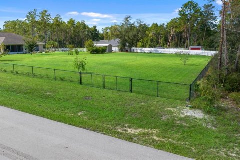 Terrain à vendre à Ocala, Floride № 1385050 - photo 3