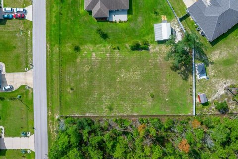 Terreno en venta en Ocala, Florida № 1385050 - foto 7