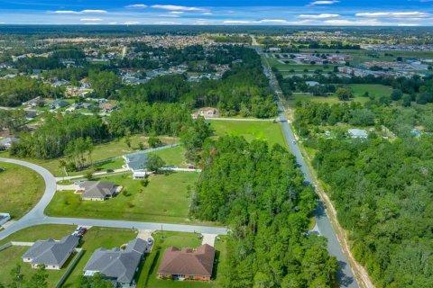 Terreno en venta en Ocala, Florida № 1385050 - foto 8