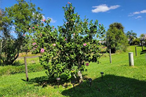 Land in Okeechobee, Florida № 1088907 - photo 14