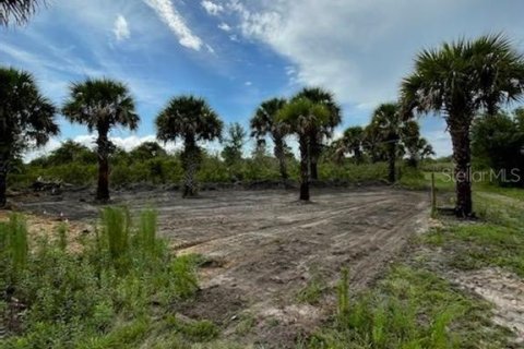 Купить земельный участок в Окичоби, Флорида № 931084 - фото 2